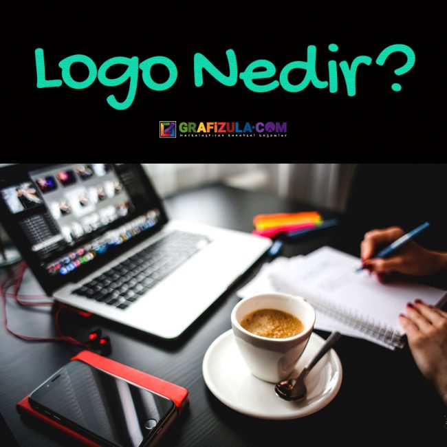 logo nedir