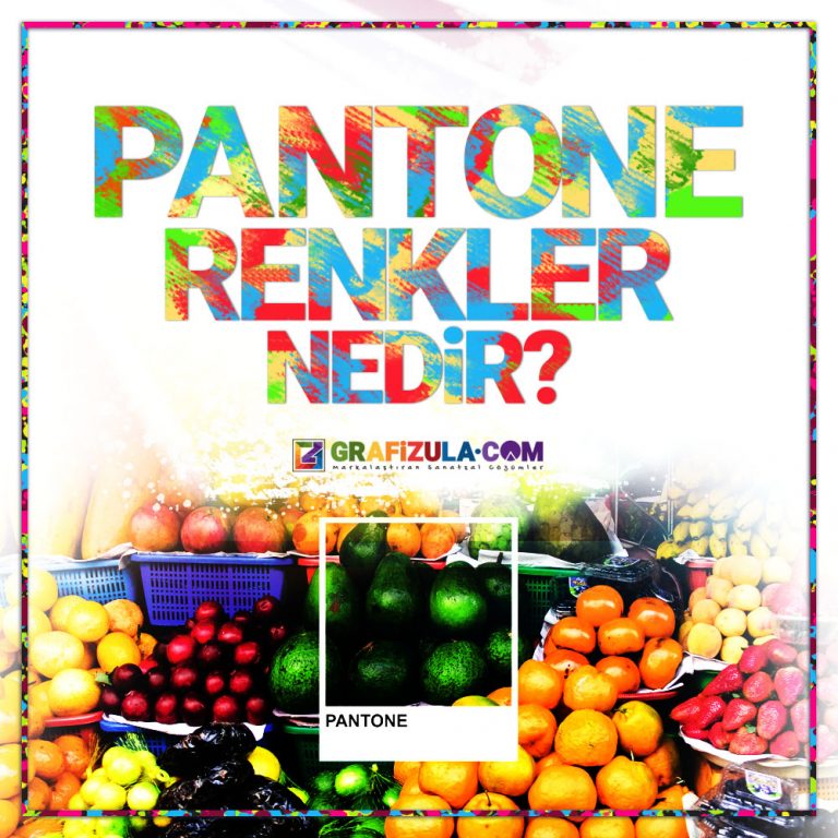 pantone ve spot renkler nedir